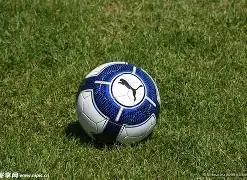 决赛一扣惊,揭秘其背后,的感人故事,JDB财神捕鱼官网,JDB财神捕鱼官网登录,JDB财神捕鱼官方网站,JDB财神捕鱼游戏