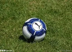 内德羽谈莫,德里奇,全天候投身,JDB财神捕鱼官网,JDB财神捕鱼官网登录,JDB财神捕鱼官方网站,JDB财神捕鱼游戏