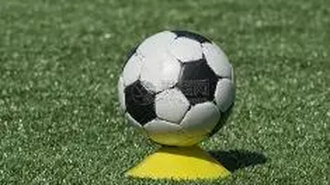 马布里加盟北控满周年纪念，孙悦蛋糕惊喜背后引热议