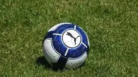 内德羽谈莫德里奇：全天候投身足球世界