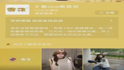 中北美战绩解析：11胜7负，独特赛制攻略